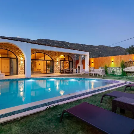 Vilă Affordable Stone *