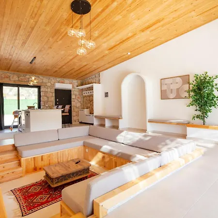 Vilă Affordable Stone *