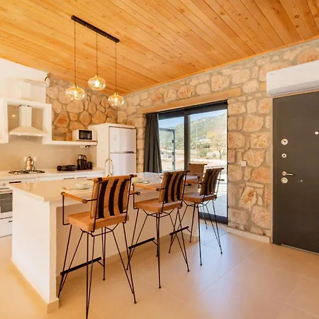 Vilă Affordable Stone *